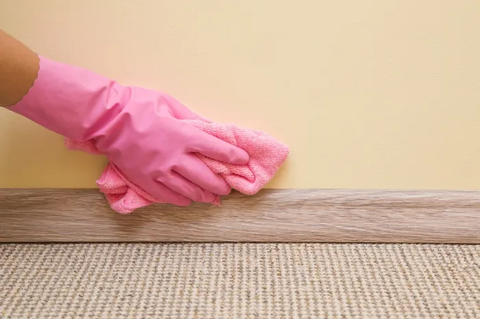 Sea Maid Cleaning Services's Other Services Sea Maid Cleaning Services's Other Services
